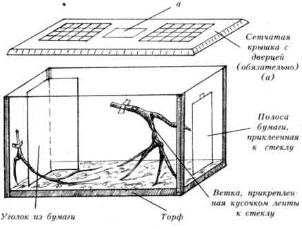 СХЕМА ИНСЕКТАРИЯ ДЛЯ ВЗРОСЛЫХ САМОК