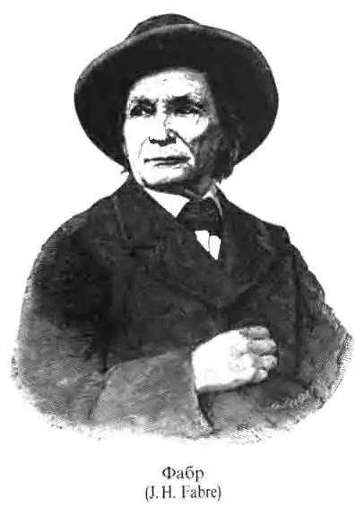 Инстинкт и нравы насекомых Инстинкт и нравы насекомых