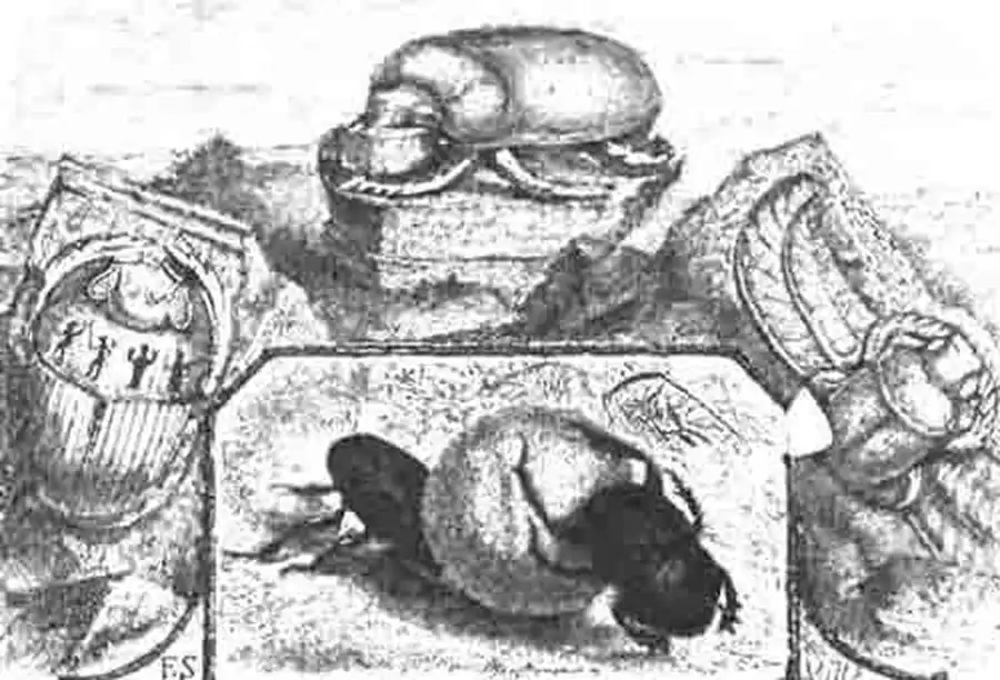 Рис. 1. Египетские изображения священных скарабеев, а внизу, в середине, два рябых скарабеи (Scarabaeus variolosus F.) катят шар. (По Kimckel) Рис. 1. Египетские изображения священных скарабеев, а внизу, в середине, два рябых скарабеи (Scarabaeus variolosus F.) катят шар. (По Kimckel)