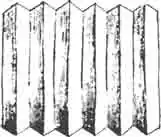 Кусочек смычка эфиппигеры. Сильно увеличенный Кусочек смычка эфиппигеры. Сильно увеличенный