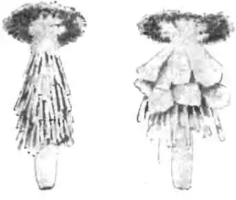 Чехлики мешочницы одноцветной Чехлики мешочницы одноцветной