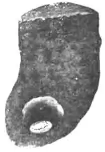 Продольный разрез колбасы геотрупа у нижнего конца ее, для показа яйца в колыбели Продольный разрез колбасы геотрупа у нижнего конца ее, для показа яйца в колыбели