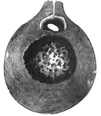 Шар фанея милона еще большей величины, вскрытый. Естеств. величина Шар фанея милона еще большей величины, вскрытый. Естеств. величина