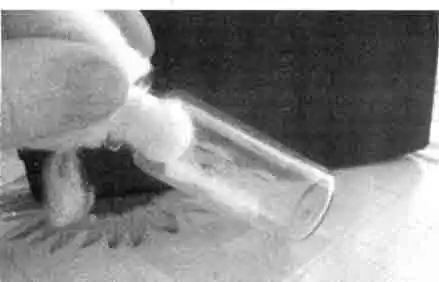 Молодняк удобно выращивать в маленьких пробирках или пузырьках из-под капель Молодняк удобно выращивать в маленьких пробирках или пузырьках из-под капель