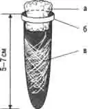 Выростная емкость для каракуртов с 1 по 3-ю линьку: Выростная емкость для каракуртов с 1 по 3-ю линьку: