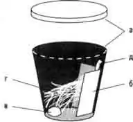 Емкость для выращивания каракуртов после 3-й линьки Емкость для выращивания каракуртов после 3-й линьки