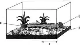 Схема инсектария для тарантула: Схема инсектария для тарантула: