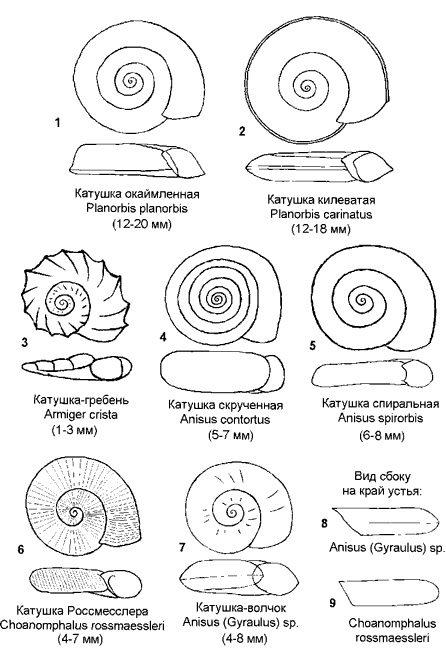 Катушки.