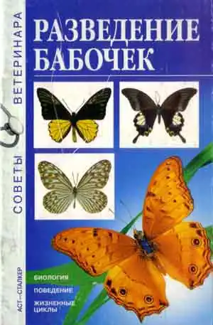 Разведение бабочек