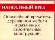 Мебельный точильщик, или точило домашний (Anobium punctatum Deg.)