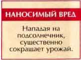 Подсолнечниковый усач (Agapanthia dahli Richt.)