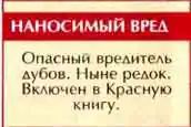 Большой дубовый усач (Cerambyx cerdo L)