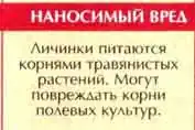 Степной медляк (Blaps halophila F.-W.)