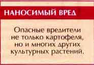 Картофельная, или 28-точечная коровка(Epilachna vigintioctomaculata Motsch.)