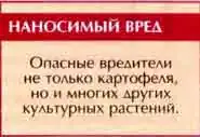 Картофельная, или 28-точечная коровка(Epilachna vigintioctomaculata Motsch.)