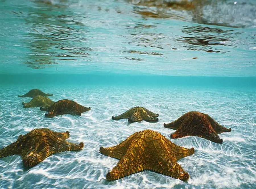 на морском дне на морском дне