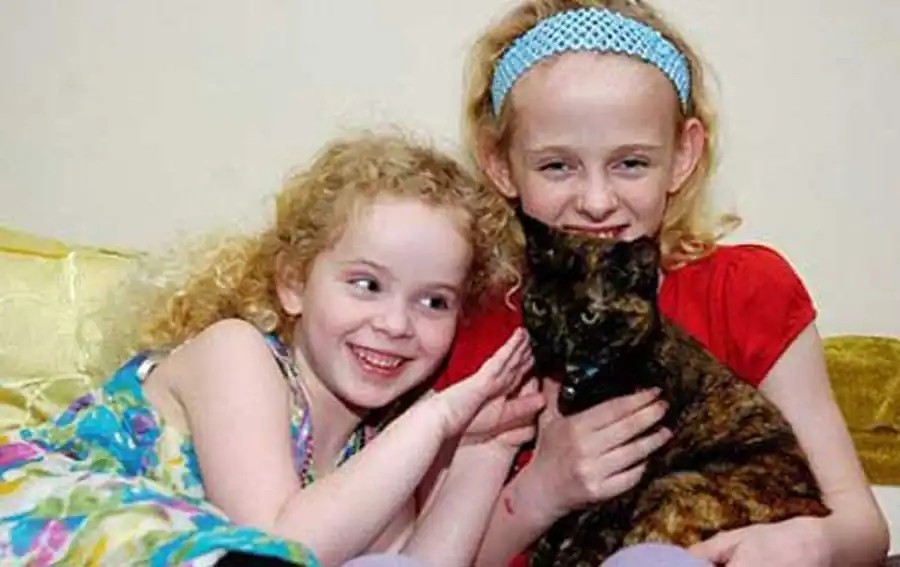 кошка вернулась из-под земли кошка вернулась из-под земли