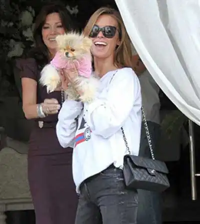 шпиц Гэги шпиц Гэги