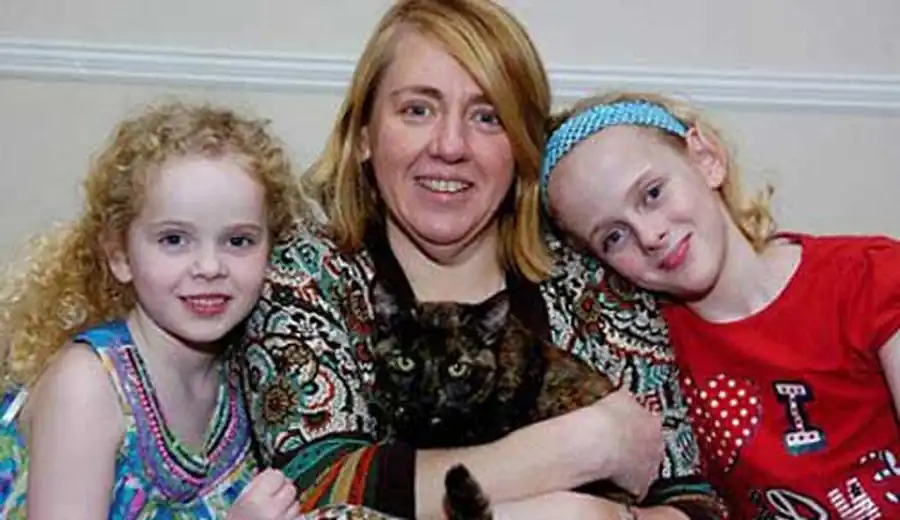 кошка из-под земли кошка из-под земли