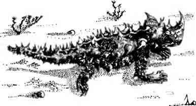 Молох Moloch horridus