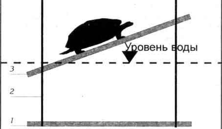 Устройство подвесных полочек для акватеррариума