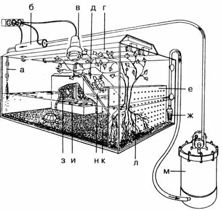 Акватеррариум для водных черепах Акватеррариум для водных черепах