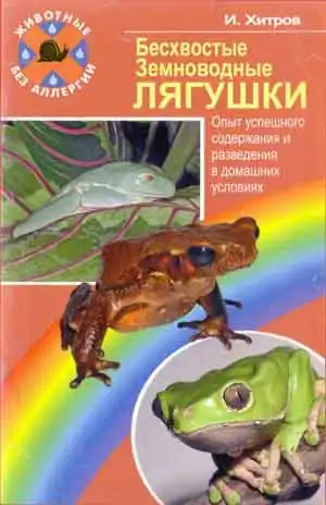 Бесхвостые земноводные. Лягушки