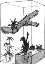 Террариум Террариум