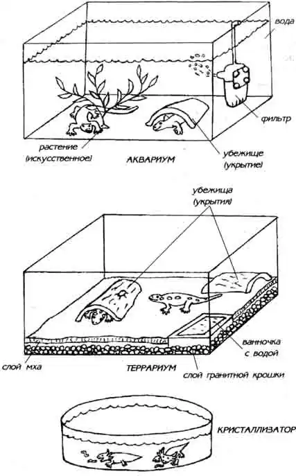 АКВАРИУМ И ТЕРРАРИУМ АКВАРИУМ И ТЕРРАРИУМ