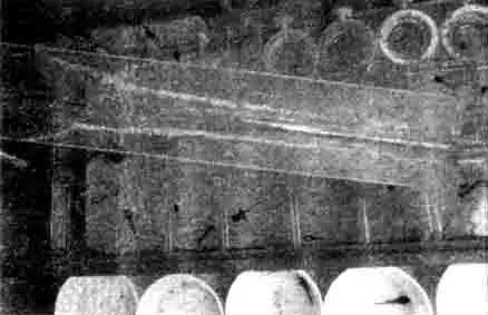 Инкубация икринок и выращивание головастиков древолаза (Dendrobates auratus) Инкубация икринок и выращивание головастиков древолаза (Dendrobates auratus)