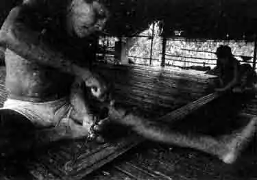 Как индейцы готовят яд из древолазов Как индейцы готовят яд из древолазов