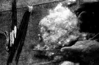 Как индейцы готовят яд из древолазов Как индейцы готовят яд из древолазов