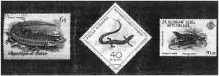 Сцинки, мабуи и гологлазы на почтовых марках Гвинеи, Румынии и Сейшельских островов Сцинки, мабуи и гологлазы на почтовых марках Гвинеи, Румынии и Сейшельских островов