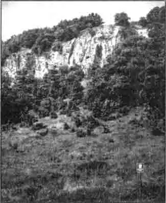 Южная Словакия - место обитания европейского гологлаза (Ablepharus kitaibelli) Южная Словакия - место обитания европейского гологлаза (Ablepharus kitaibelli)