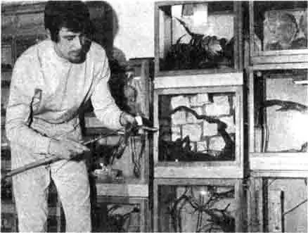 Террариумист за работой Террариумист за работой