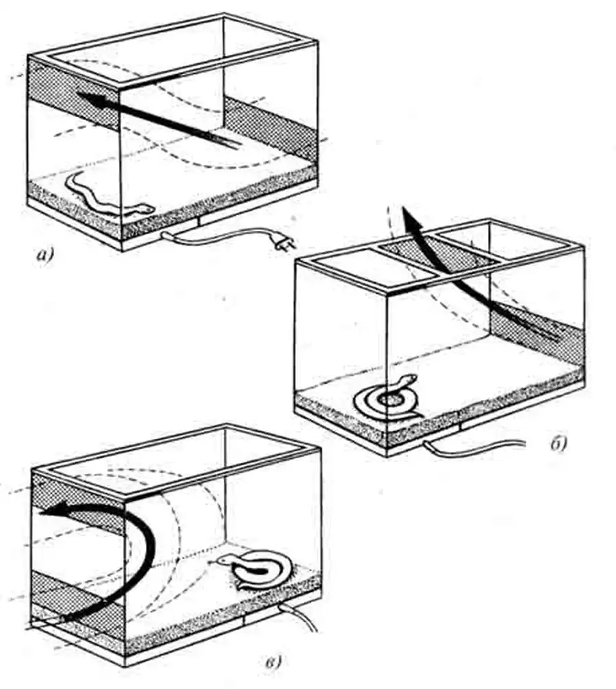 Вентиляция: а) неправильная; б) не мешающая; в) правильная Вентиляция: а) неправильная; б) не мешающая; в) правильная