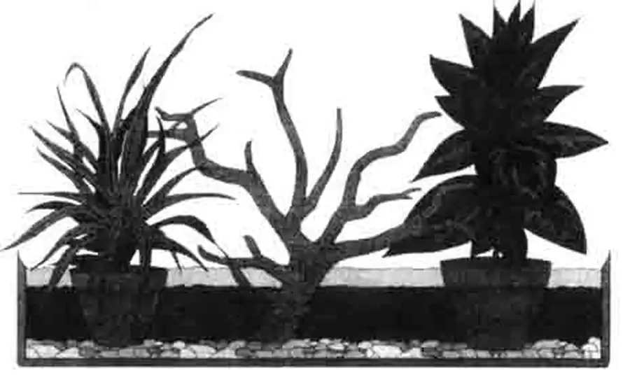 Эта иллюстрация показывает пол террариума в разрезе, как можно разместить живые цветы и дерево для ползания. Эта иллюстрация показывает пол террариума в разрезе, как можно разместить живые цветы и дерево для ползания.