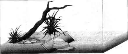 В этом аквариумном террариуме есть В этом аквариумном террариуме есть