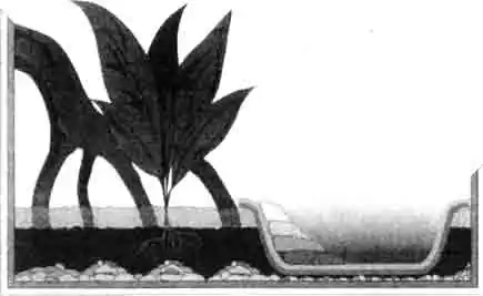 Здесь вода находится в двух ванночках, вставленных одна в другую. Камешки уложены для того, чтобы животные могли подниматься на сушу и спускаться в воду. Здесь вода находится в двух ванночках, вставленных одна в другую. Камешки уложены для того, чтобы животные могли подниматься на сушу и спускаться в воду.