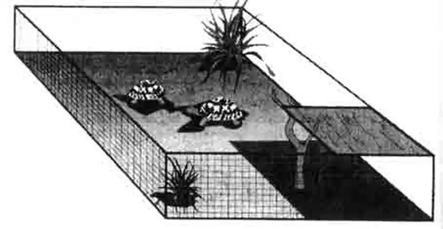 В тёплое летнее время черепахи отлично чувствуют себя на природе. Содержание их в таком ящике особенно практично. Небольшая крыша защитит черепаху от дождя и сильных солнечных лучей. В тёплое летнее время черепахи отлично чувствуют себя на природе. Содержание их в таком ящике особенно практично. Небольшая крыша защитит черепаху от дождя и сильных солнечных лучей.