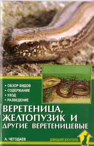 Веретеница, желтопузик и их обширное семейство