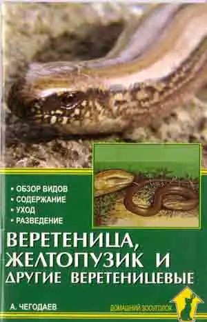 Веретеница, желтопузик и их обширное семейство