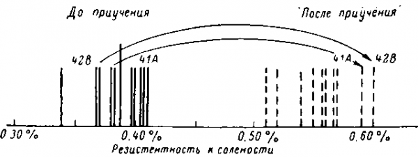 Первоначальная и приобретенная резистентность отдельных линий Parameicum caudatum к повышенной солености среды через месяц после начала их приучения