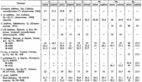 Размеры нижних зубов лосей рода Cervalces, мм