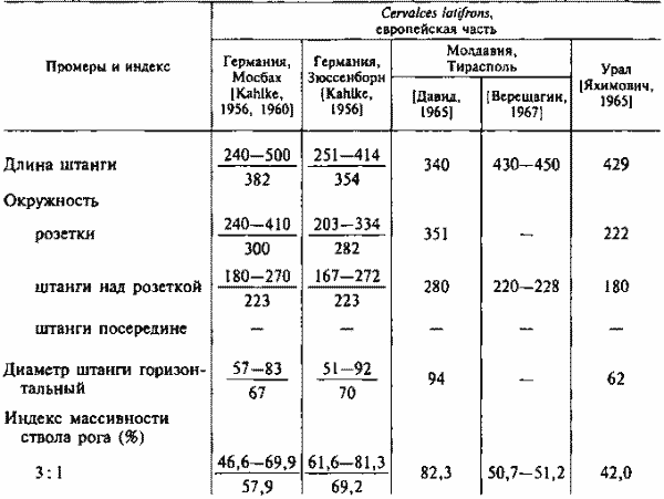 Размеры штанг рогов широколобых лосей, мм