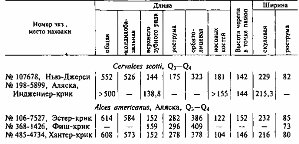 Размеры черепов оленелося Скотта н настоящих лосей с Аляски (АМЕИ), мм