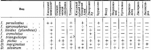 Значение иксодовых клещей в распространении трансмиссивных инфекций, регистрируемых в Новосибирской области