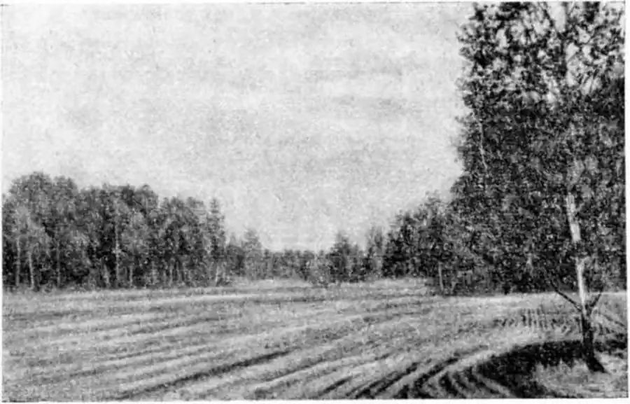  Тип ландшафта, характерный для очагов интенсивных массовых размножений и вредной деятельности .водяной крысы в северной Барабе. Заболоченные колки чередуются с участками полей и лугов. Фото автора.