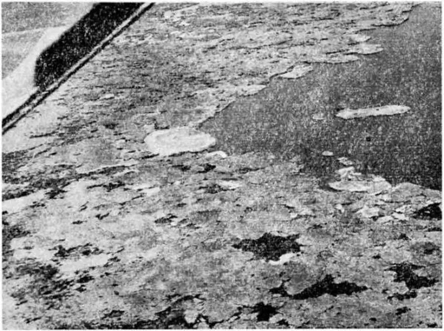 Озерно-сплавинный тип местообитания водяной крысы. Фото автора (с самолета).