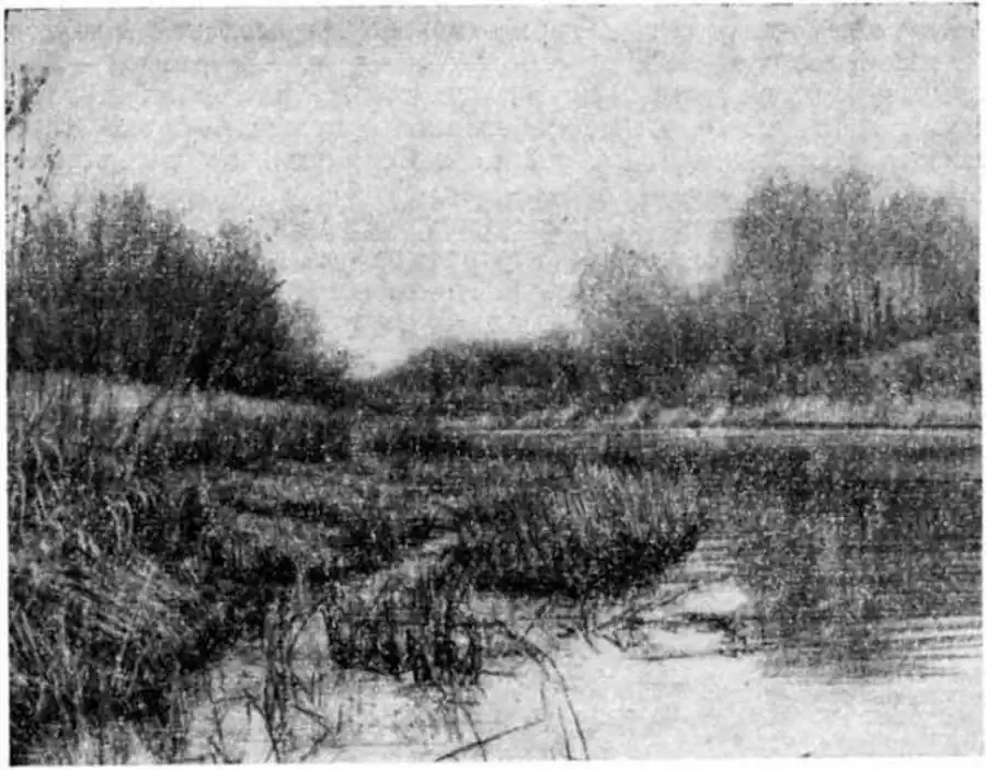 Характерное место обитания бобра в среднем течении Тайдас (приток Тартаса). Фото автора.